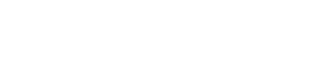 The Animation Workshop
